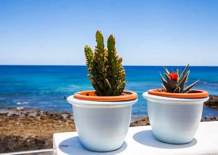 Ocean Daire Arrieta (Lanzarote)